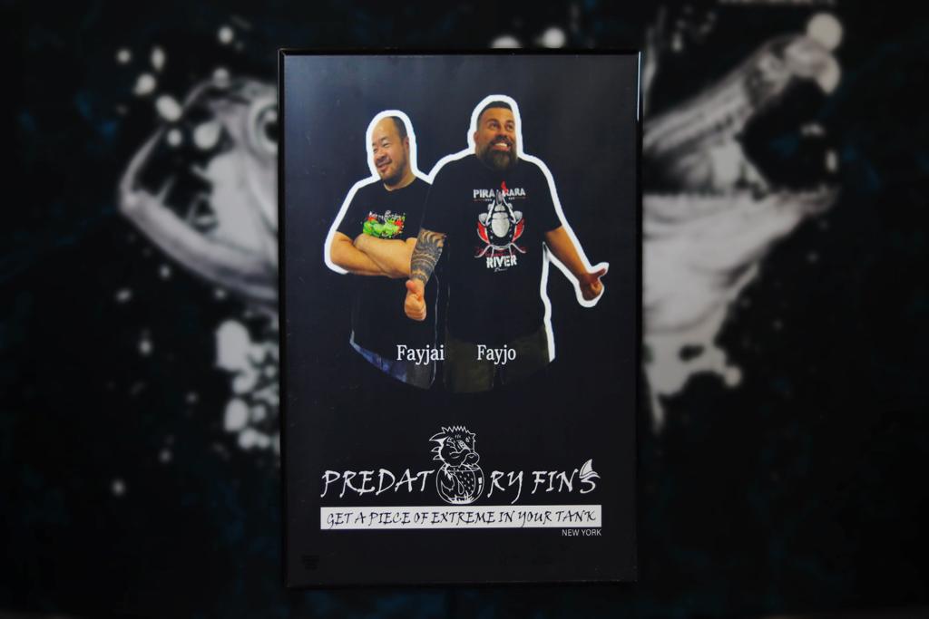 Fayjai and Fayjo Poster