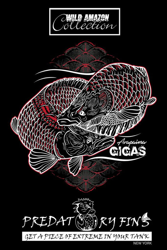 Amazon Collection "Arapaima" Poster