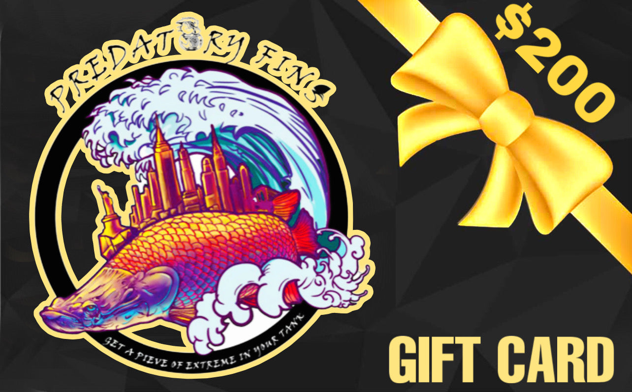 Predatory Fins Gift Card